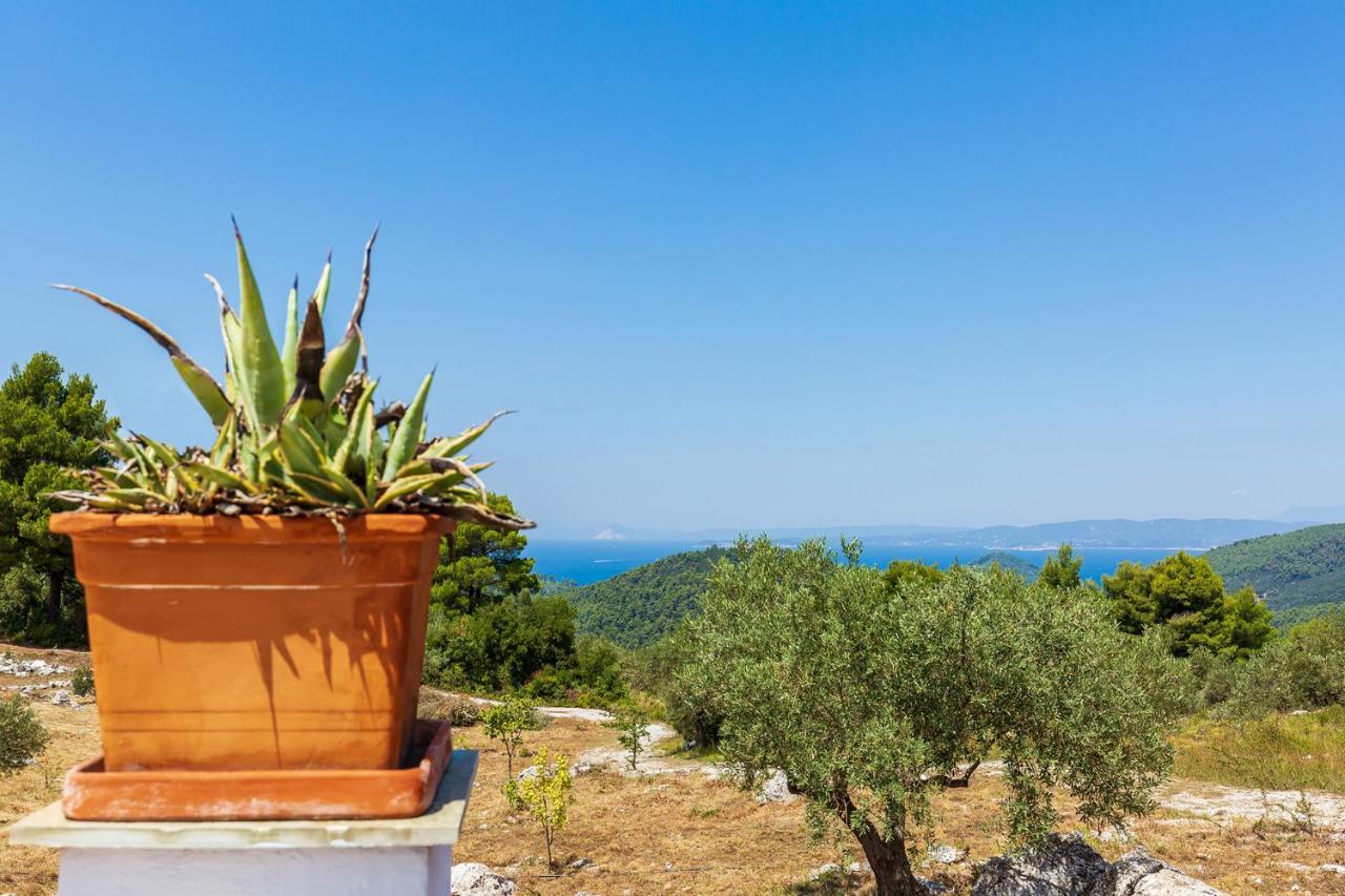 Villa Jasmine Skopelos Dış mekan fotoğraf